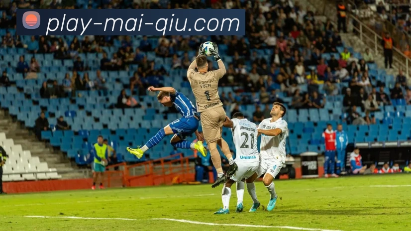 买球站APP 体育赛事宣传图